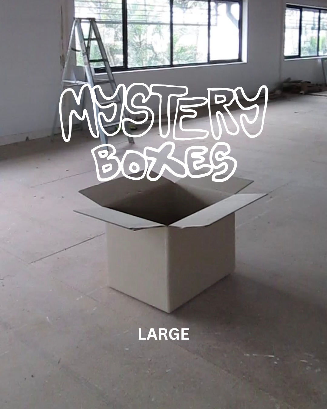 MYSTERY BOX - LARGE