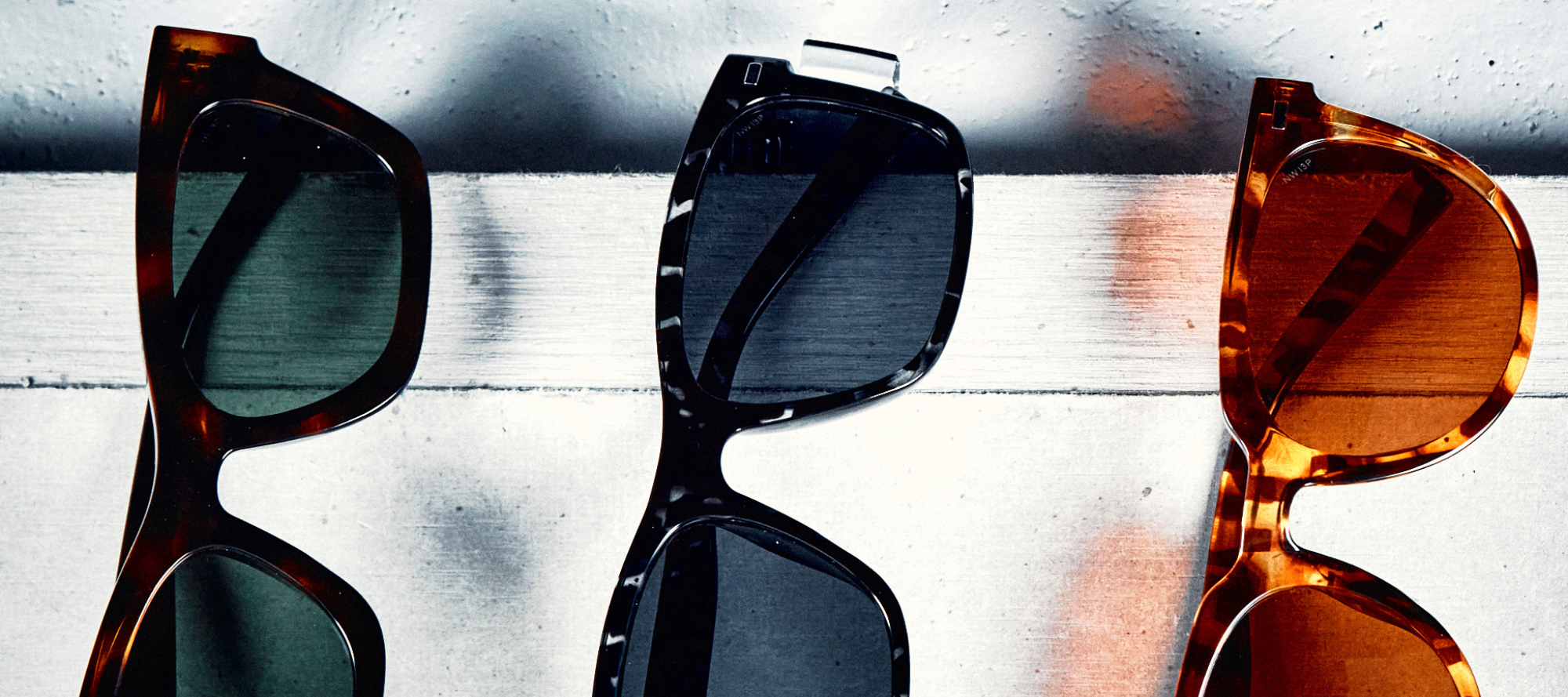 Black and Hazel Tortoise